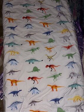 Pottery Barn Dinosaur Comforter